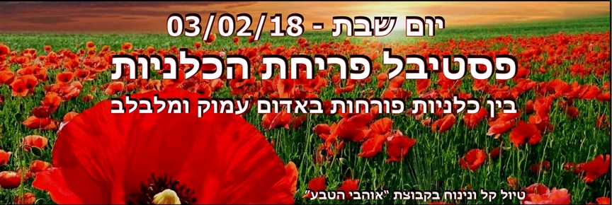 נחל אוג עליון
