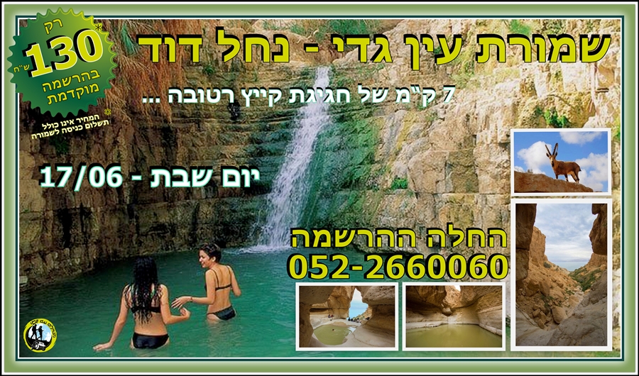 נחל דוד