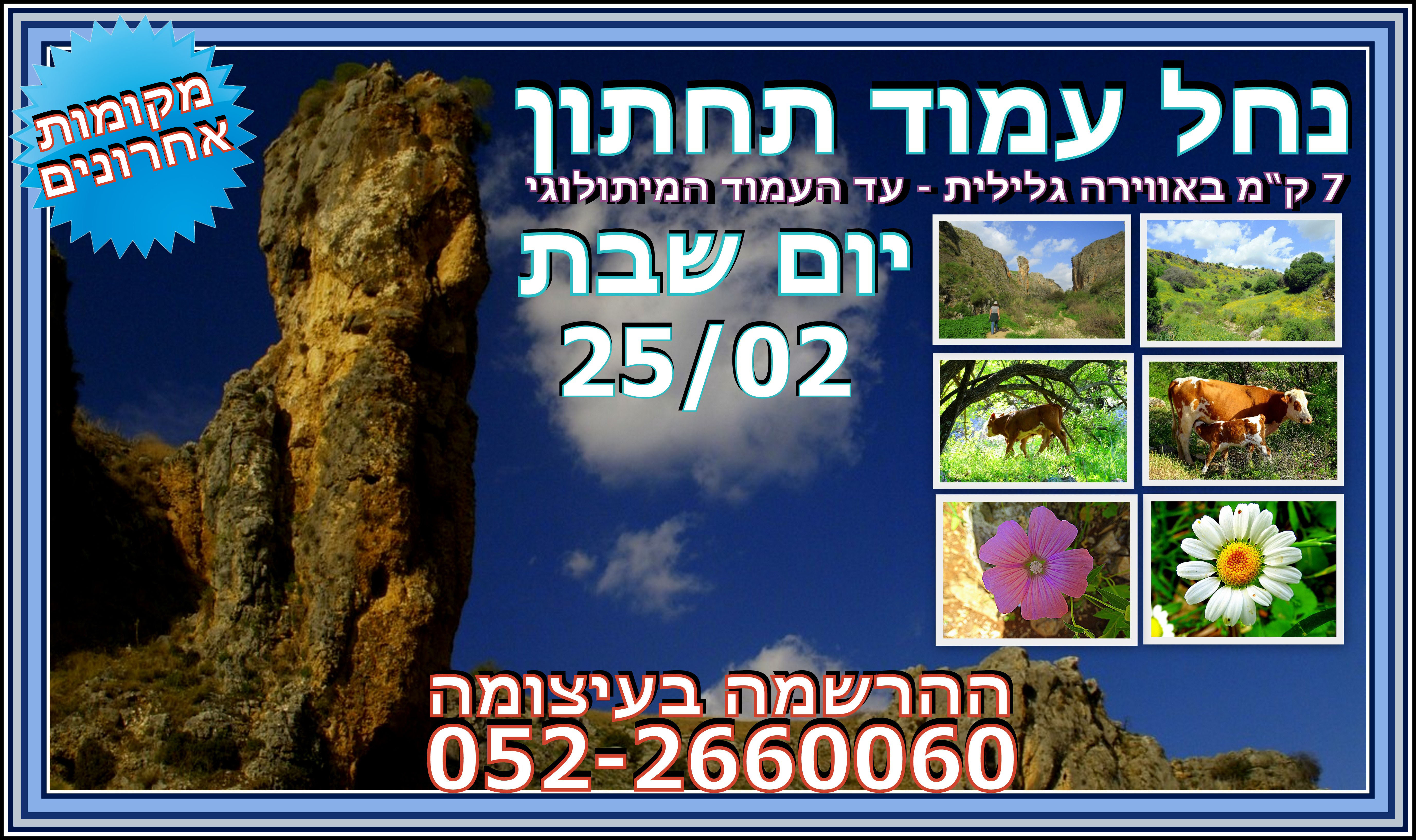 נחל עמוד תחתון
